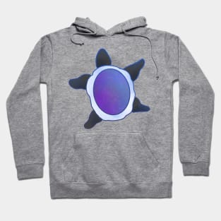 Pride Flag Space Turtle Asexual Flag Hoodie